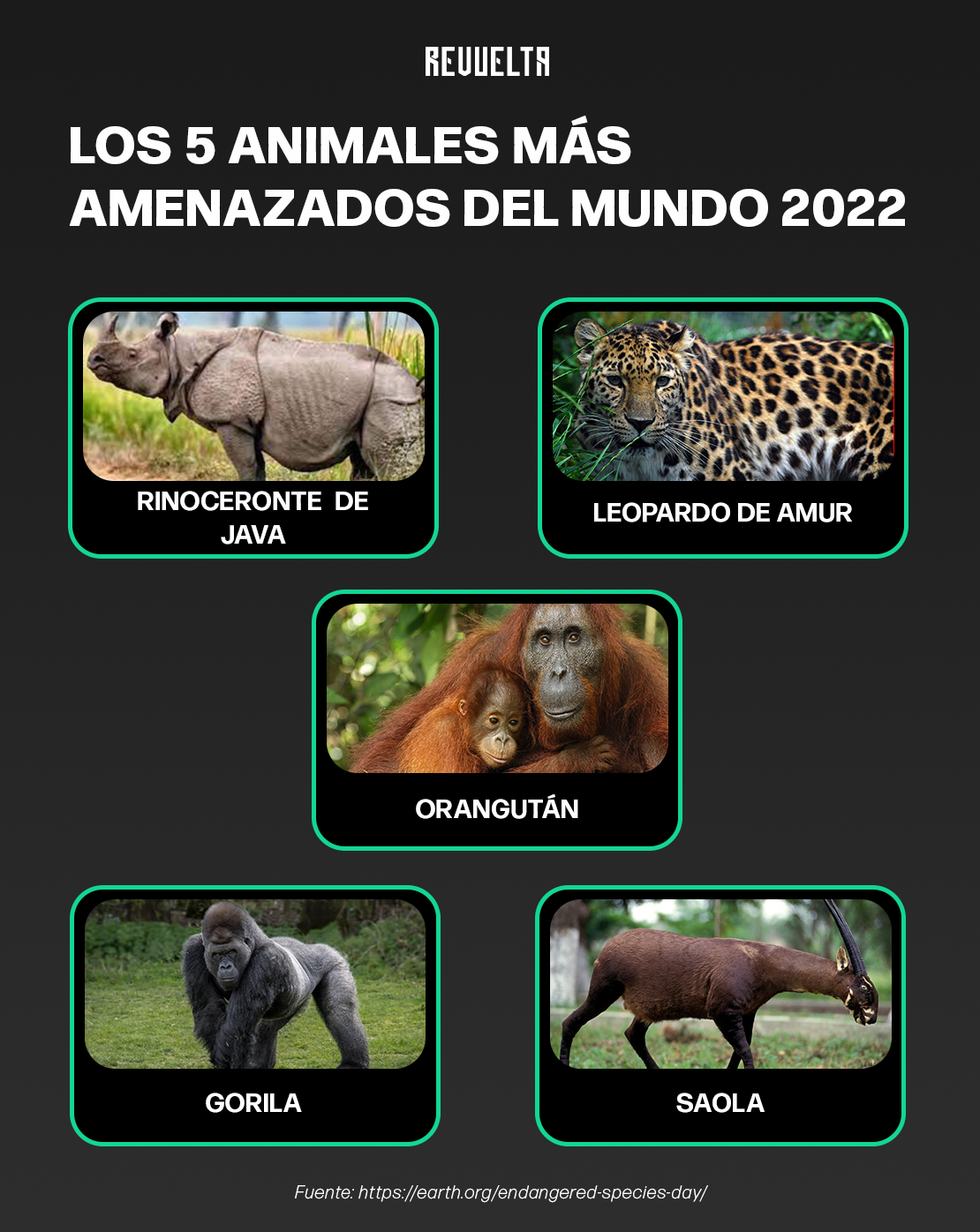 5 ANIMALES MAS AMENAZADOS