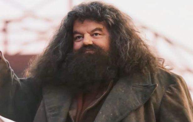 HAGRID FALLECE HARRY POTTER