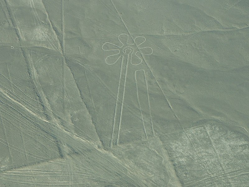 Nazca 7