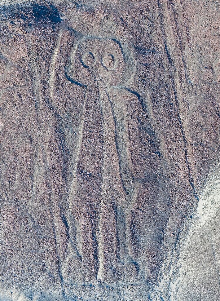 Nazca 8