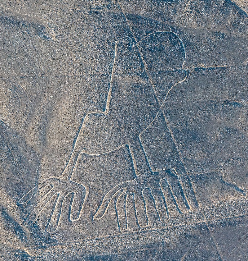 Nazca 9