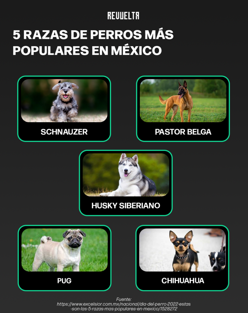 RAZAS DE PERRO