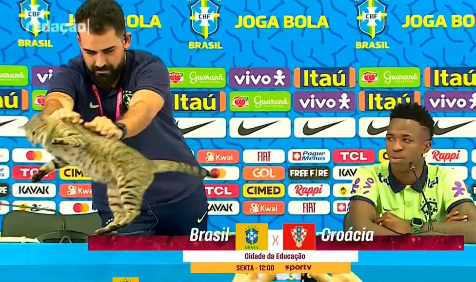 croacia gato brasil eliminado mundial qatar 2022